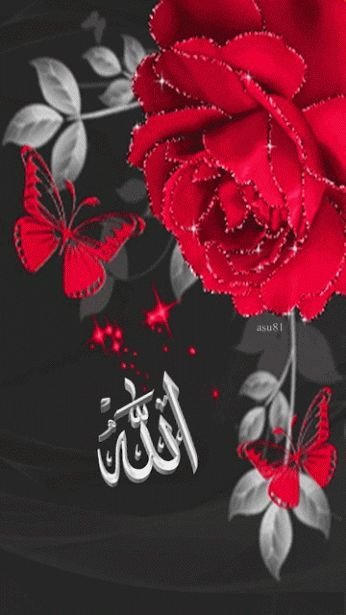 Самые красивые мусульманские цветы