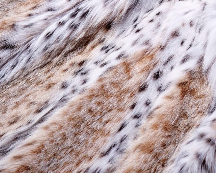 Шуба снежный Барс