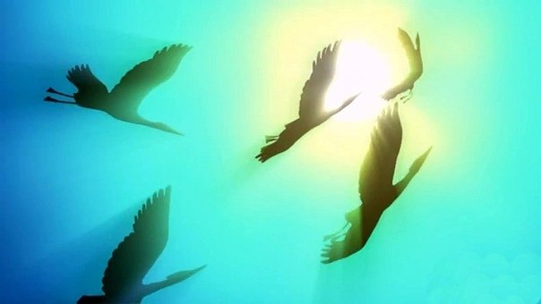 В мире животных телепередача заставка