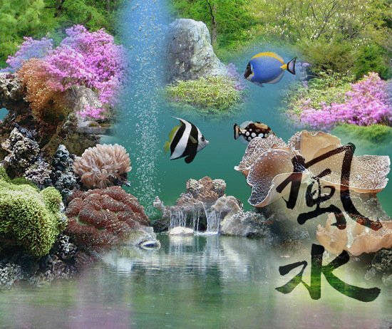 Заставка фен шуй