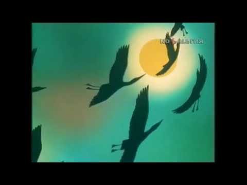 Заставка передачи в мире животных