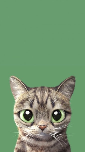 Смешные обои на телефон