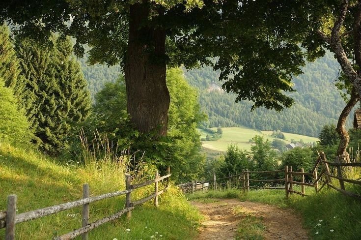 Природа деревня