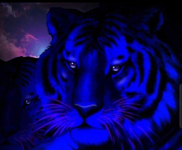 Светящиеся тигры