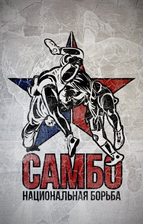 Боевое самбо логотип