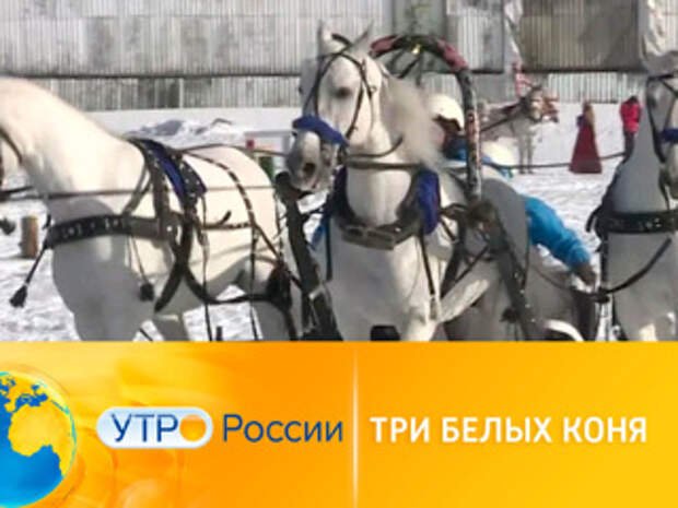 Заставка новостей кони