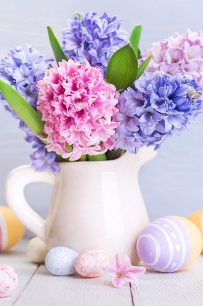 Гиацинты Весна