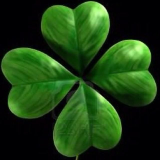 Четырёхлистный Клевер символ удачи
