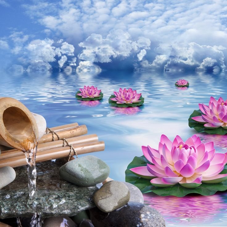 Релаксирующие картинки