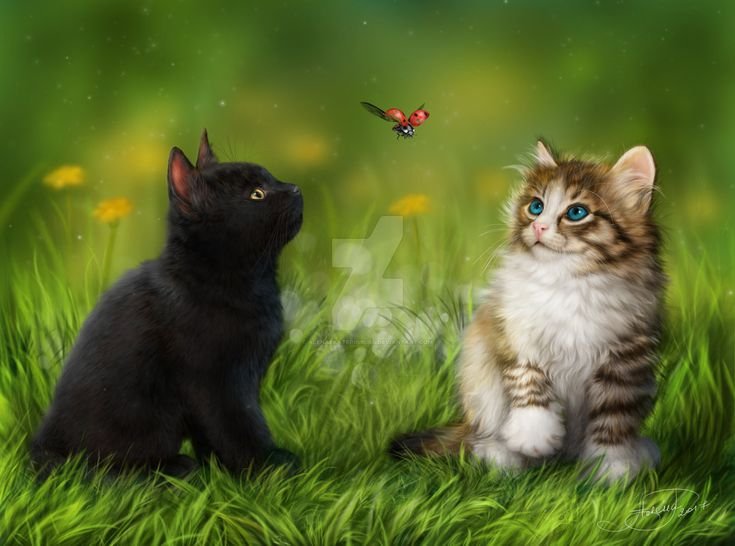 Красивые котята