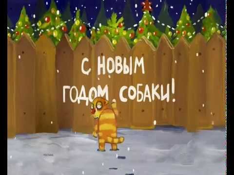 РЕН ТВ новый год