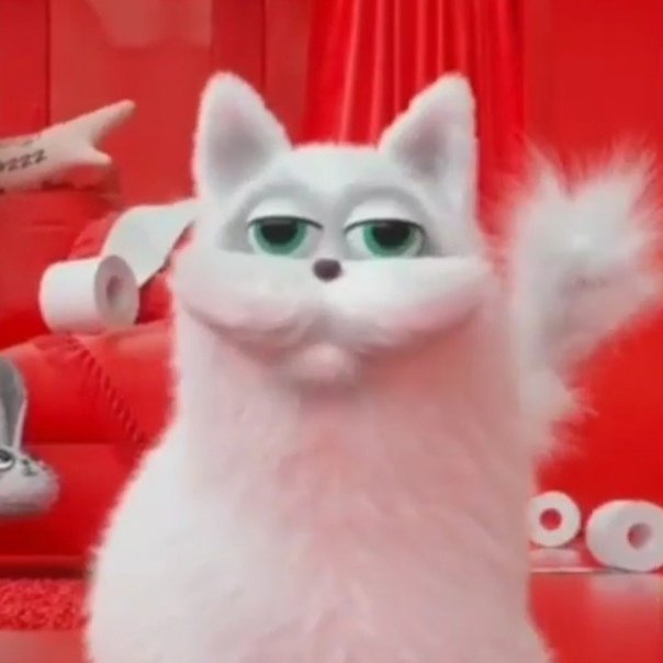 Кот с пятницы Телеканал