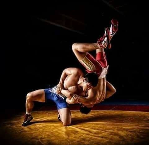 Борьба Вольная борьба