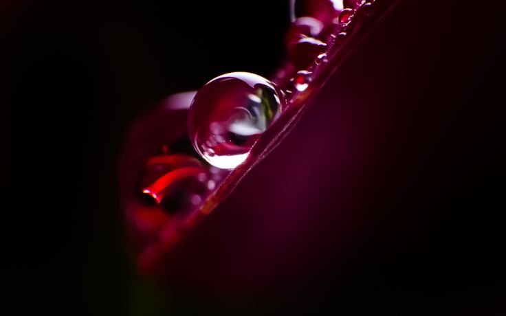 Бордовый фон