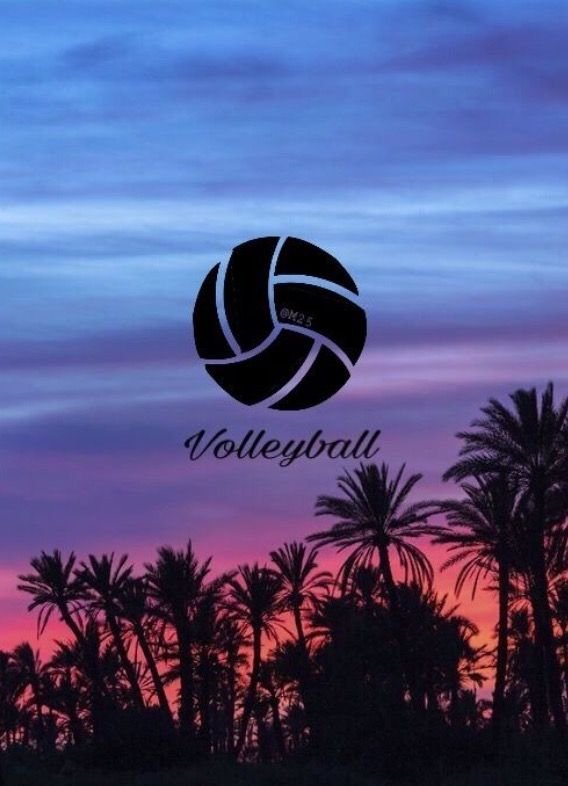 Волейбольный мяч Эстетика