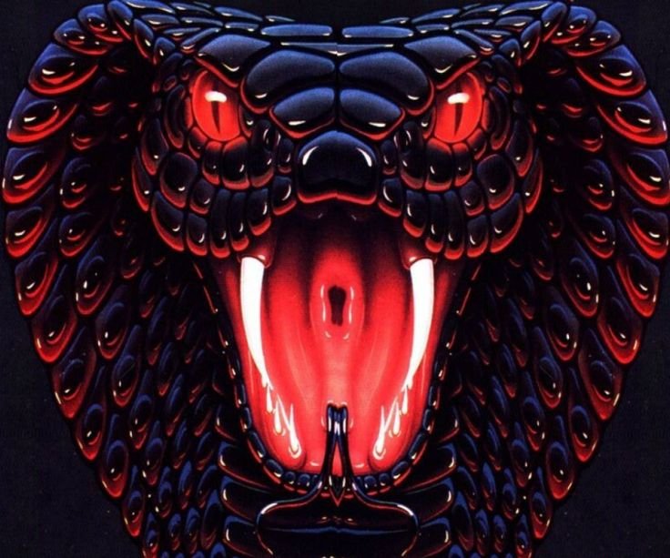 Королевская Кобра черная