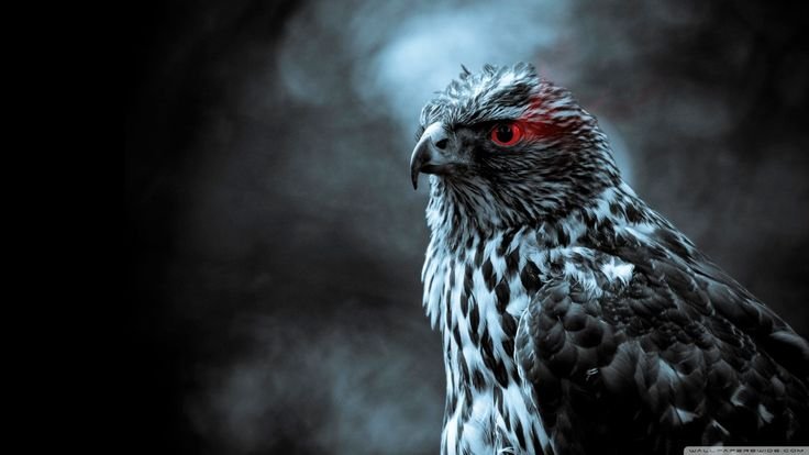 Брутальная птица