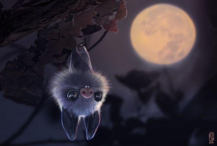 Летучая мышь арты