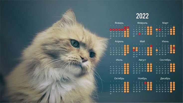 Фон для календаря