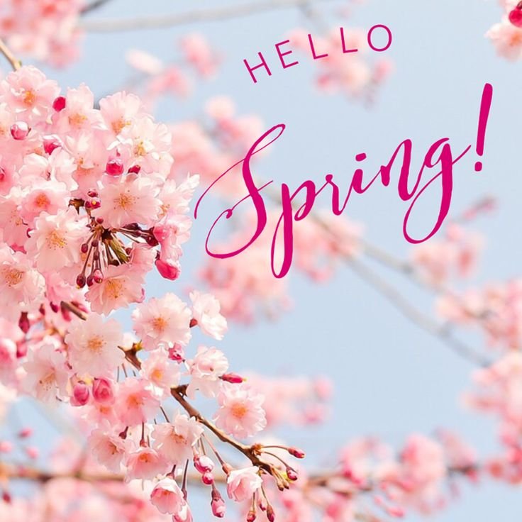 Hello Spring картинки