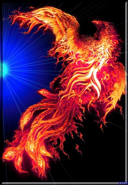 Феникс Возрождение Феникс Возрождение