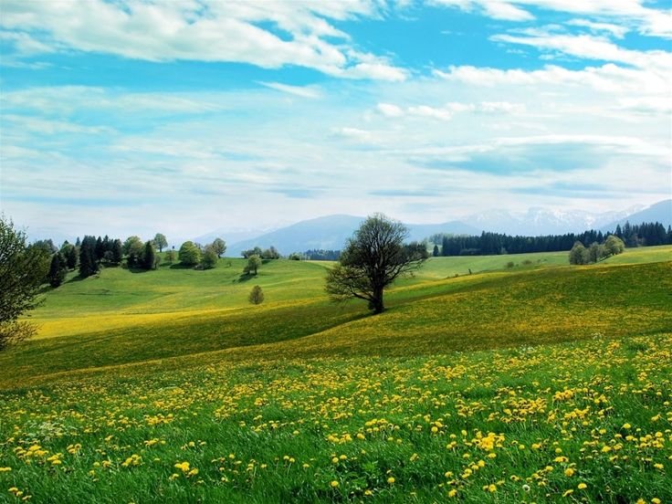 Луга Башкортостана