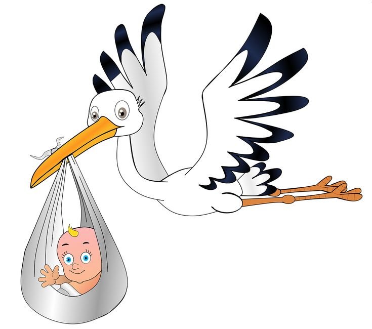 Аист с ребенком в клюве новорожденным