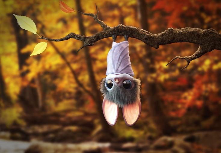 Монстры на каникулах летучая мышь