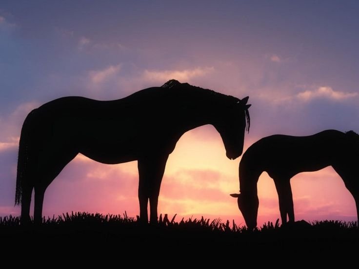 Обои на рабочий стол ЛО