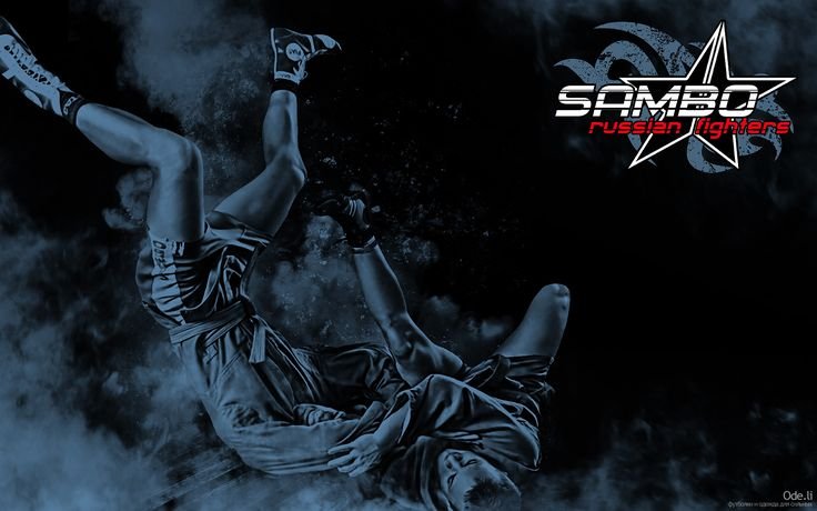 Боевое самбо обои на рабочий стол