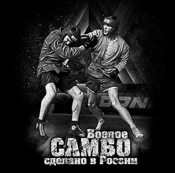 Боевое самбо