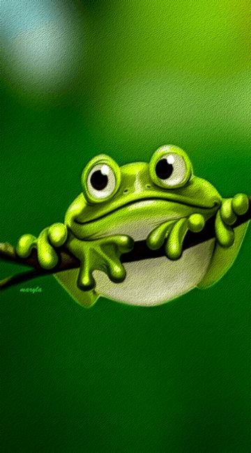 Прикольные лягушки