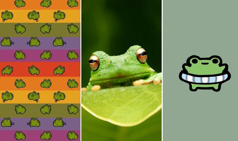 Обои с лягушками