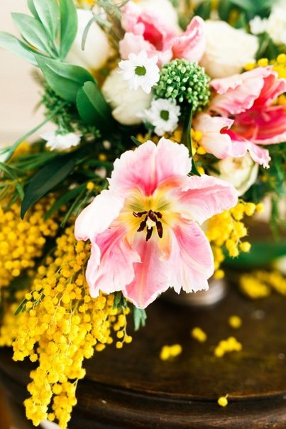 Мимоза и фрезия