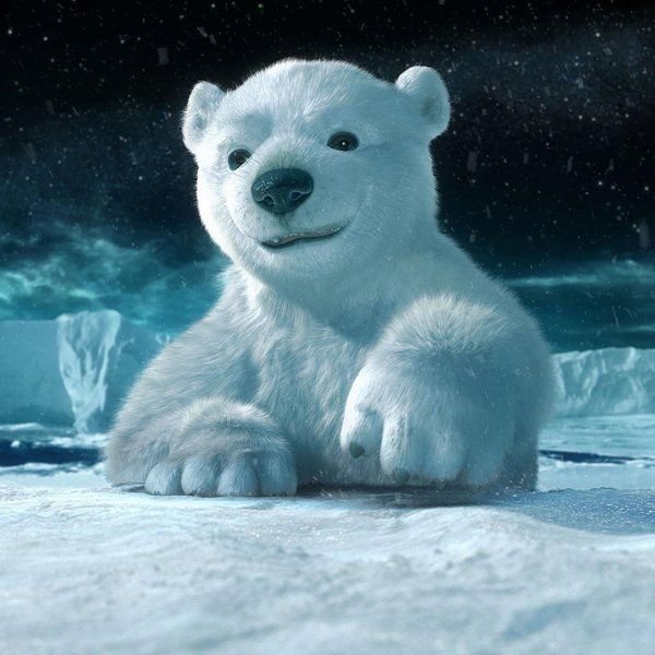 Белый медведь