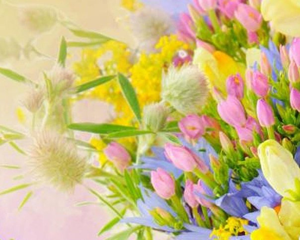 Мимоза фрезии тюльпаны