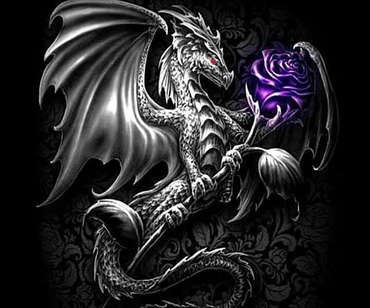 Черный дракон