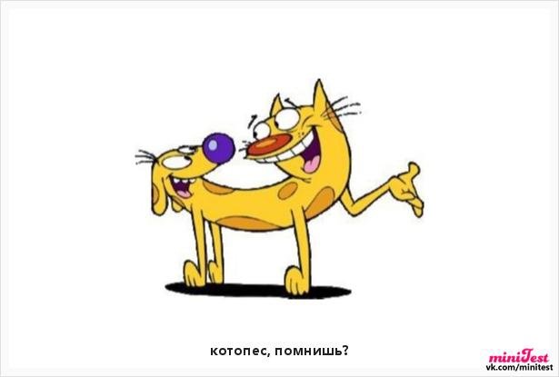 Котопес мультик