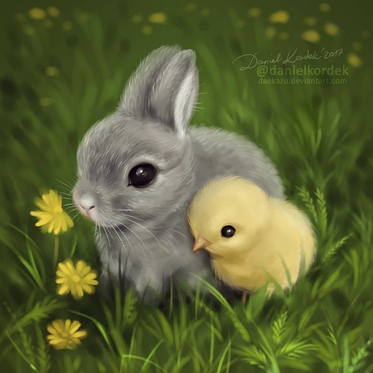 Красивые зверюшки