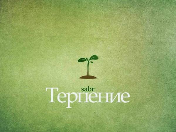 Терпение иллюстрация