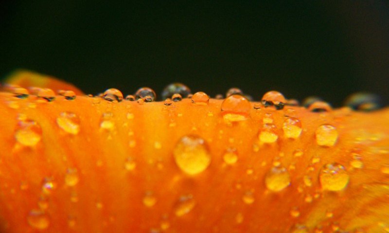 Оранжевые обои на рабочий стол