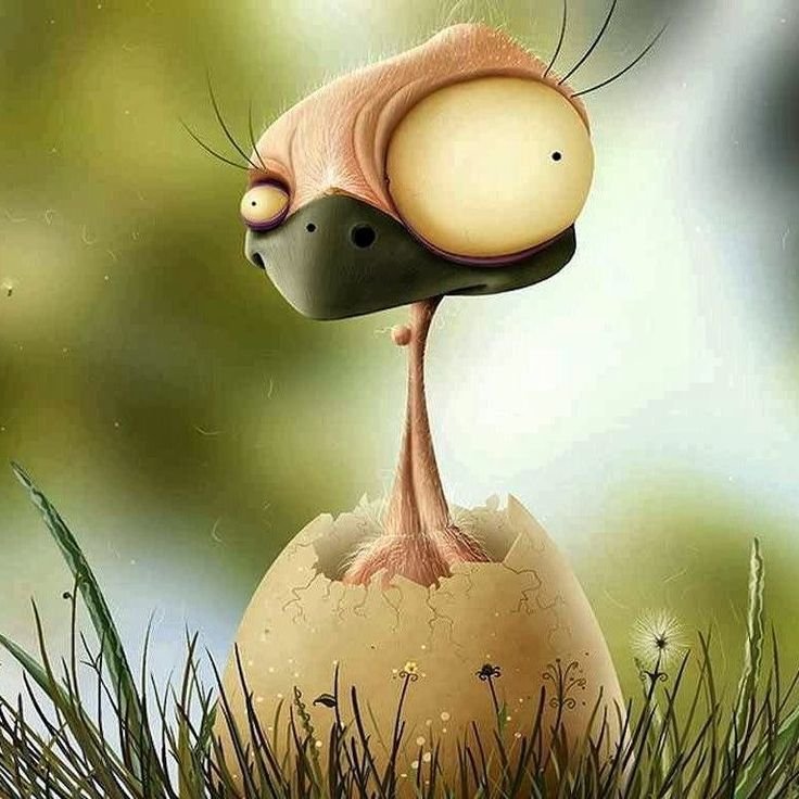 Забавные фоны для рабочего стола