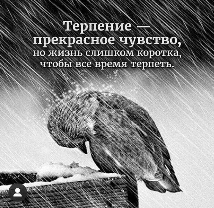 Терпение прекрасное чувство