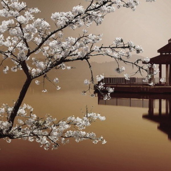 Китайский пейзаж