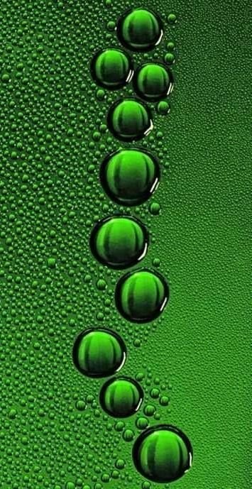 Зеленые обои