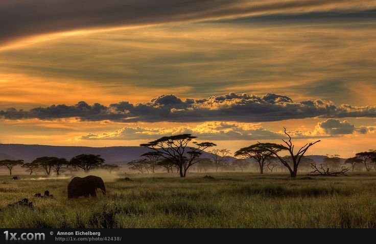 Моюнкумская Саванна