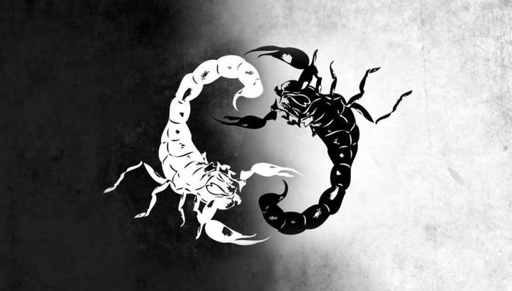 Скорпион арт