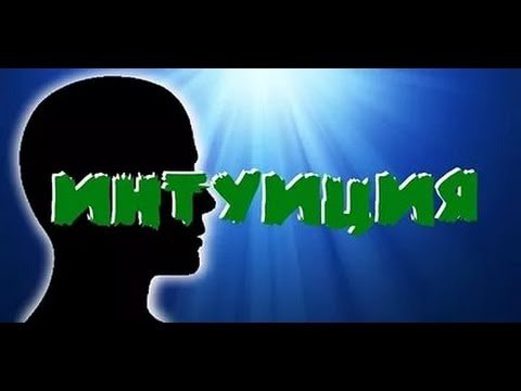Шоу интуиция