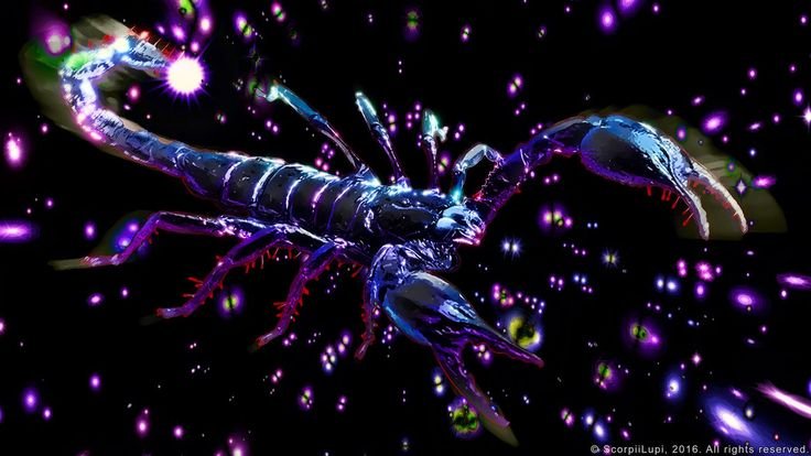 Обои на телефон Скорпион