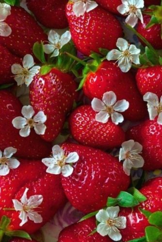 Лето клубника